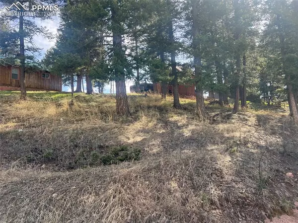 Woodland Park, CO 80863,0 Columbine AVE