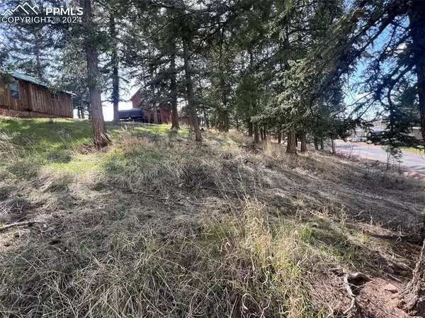 Woodland Park, CO 80863,0 Columbine AVE