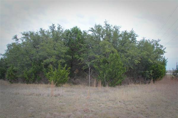 TBD W Hwy 36, Hamilton, TX 76531