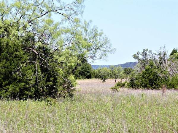 0007 S Wilson Road, Palo Pinto, TX 76484