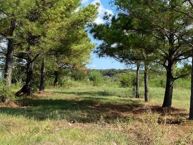 309 E Vaughn Road, Cleburne, TX 76031