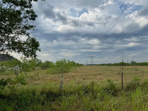 Wortham, TX 76693,N/A County Road 2420