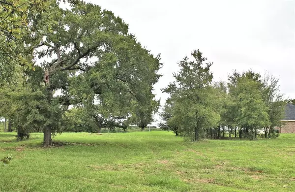 Glen Rose, TX 76043,Lot 10 County Rd 2027