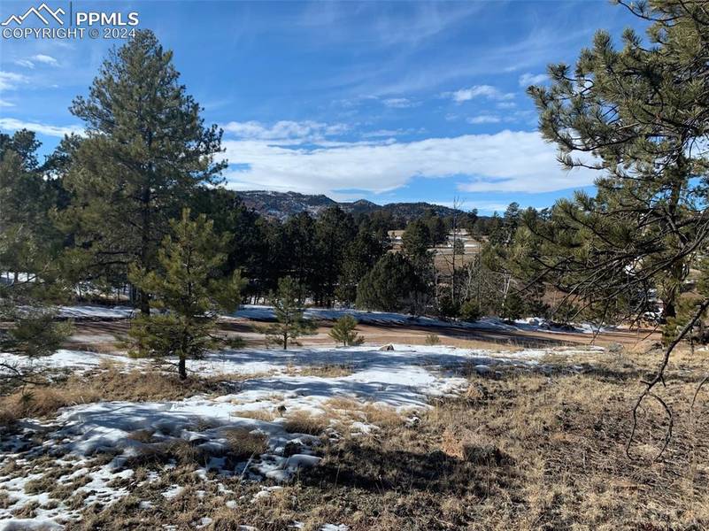 173 Crescent DR, Florissant, CO 80816