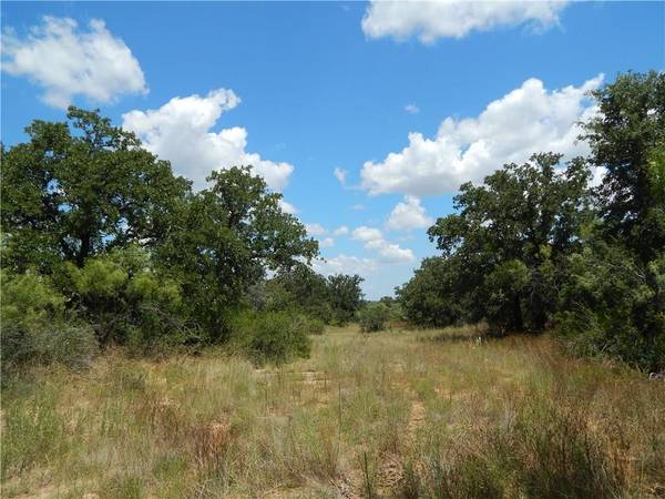 TBD FM 45/CR 248,  Richland Springs,  TX 76871