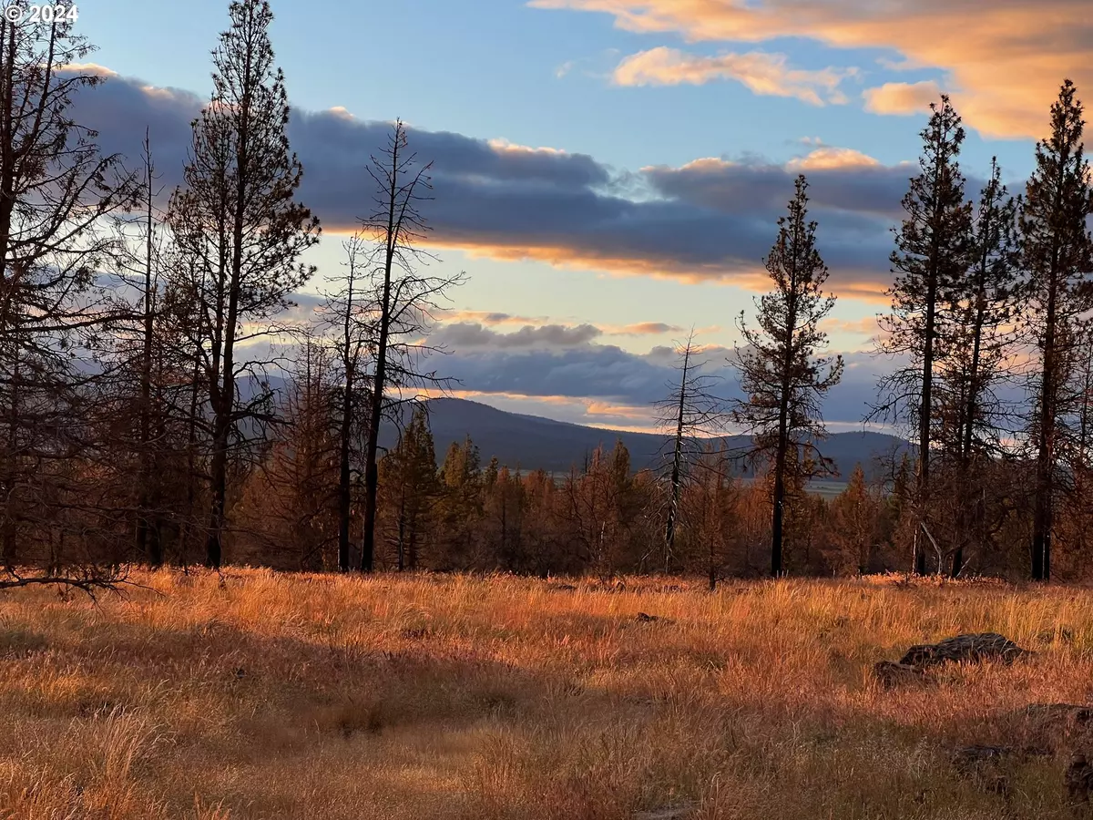 Paisley, OR 97636,0 Sycan Marsh