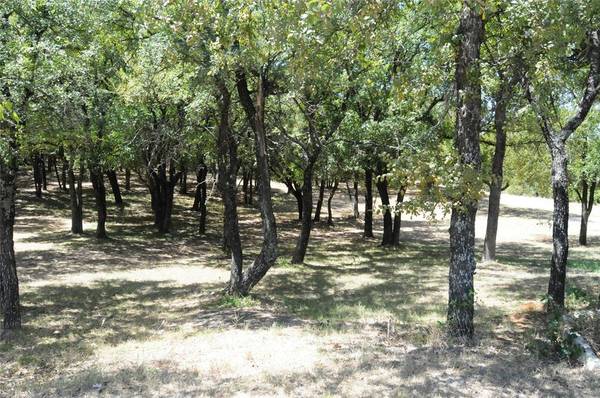 8702 Oakland Court, Granbury, TX 76049