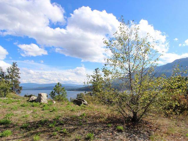 183 2633 SQUILAX ANGLEMONT ROAD, North Shuswap, BC V0E 1M4