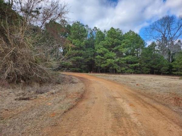 Lot 72 Star Mountain Drive,  Winona,  TX 75792