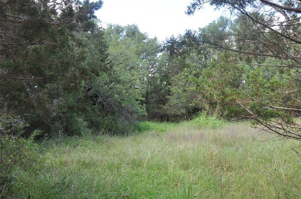 TBD County Road 2440, Iredell, TX 76649