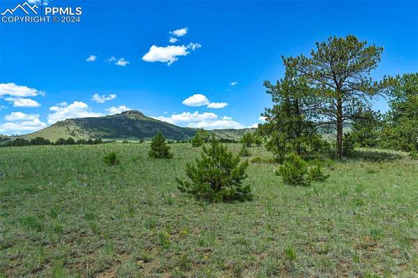 Guffey, CO 80820,56 View LN