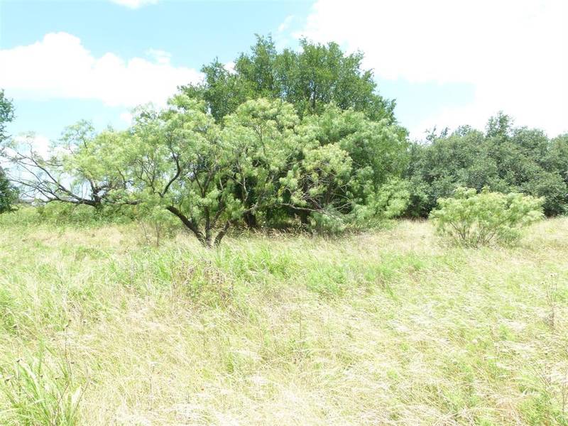 47 Bear Path Way, Brownwood, TX 76801