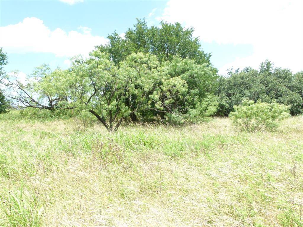 Brownwood, TX 76801,47 Bear Path Way