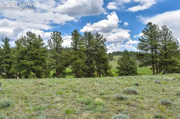 Guffey, CO 80820,523 Valley DR