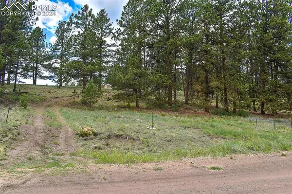 Guffey, CO 80820,523 Valley DR