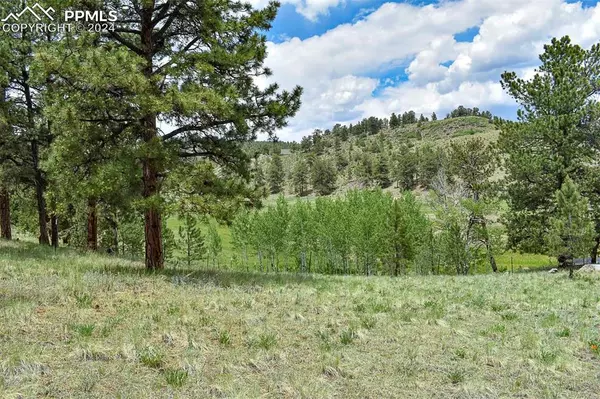 Guffey, CO 80820,523 Valley DR