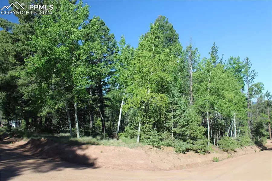 646 Pinewood RD, Florissant, CO 80816