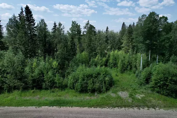 Rural Woodlands County, AB T7S 1N3,20, 112051 Township Road 591