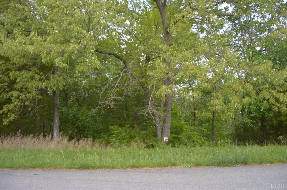 Forest, VA 24551,0 Cedar Fox CT #Lot 41