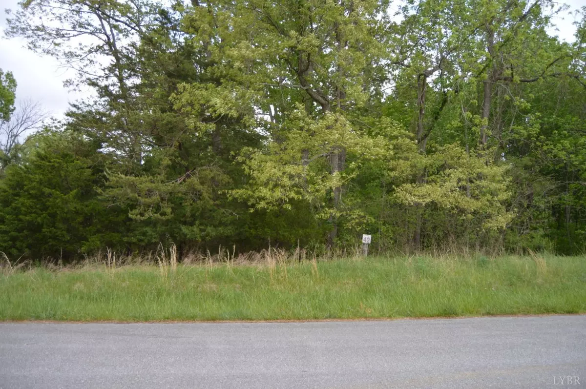 Forest, VA 24551,0 Cedar Fox CT #Lot 42