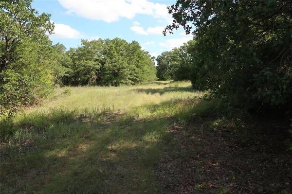 Tract 2 County Road 2886, Alvord, TX 76225