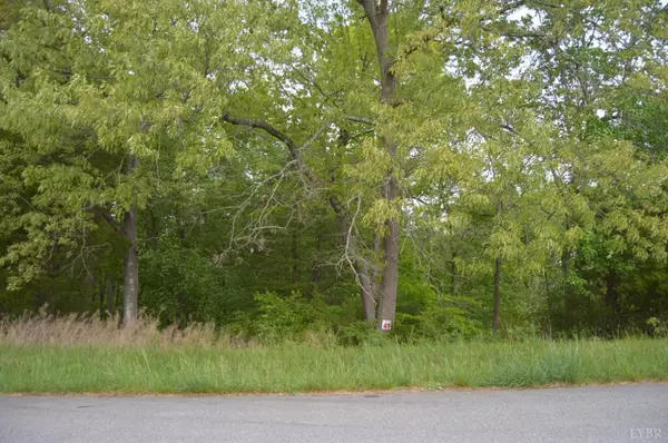 0 Cedar Fox CT #Lot 41, Forest, VA 24551