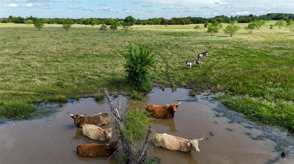 Whitesboro, TX 76273,TBD CR 166