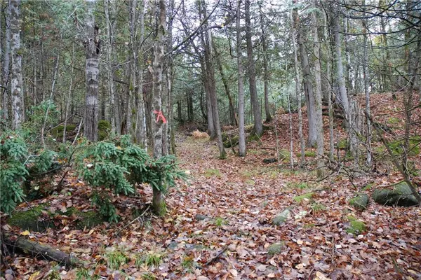 Lanark, ON K0G 1K0,0 NORTH ST