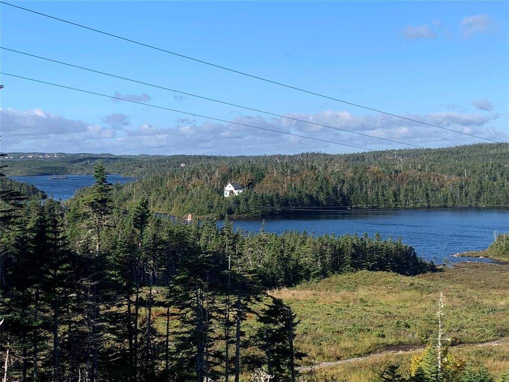 LOT 12 Halleran Trail, Brigus Junction, NL A0B1G0