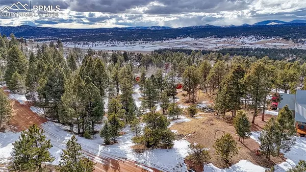 65 Utah WAY, Florissant, CO 80816