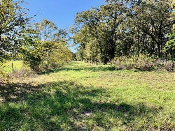 TBD County Road 2404, Kemp, TX 75143