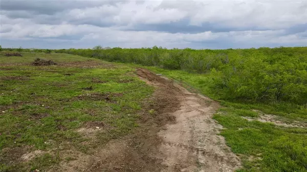 Nixon, TX 78140,TBD S State Highway 80 Avenue