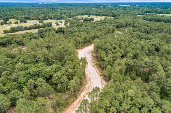 Grand Saline, TX 75140,Lot 20 PR 5808