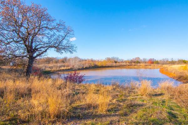 TBD County Rd 170, Gorman, TX 76444