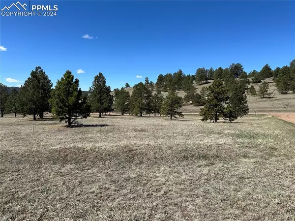 Florissant, CO 80816,20 Apache CIR