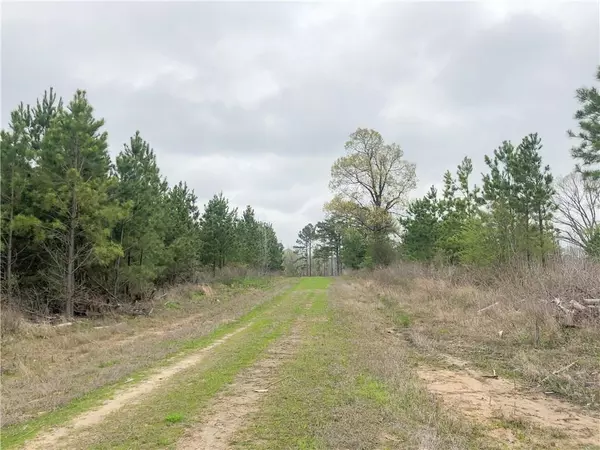 Avery, TX 75554,00 CR 4429