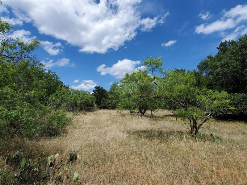 4025 FM 2525, Early, TX 76802