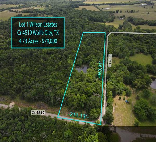 Lot 1 COUNTY RD 4519, Wolfe City, TX 75496