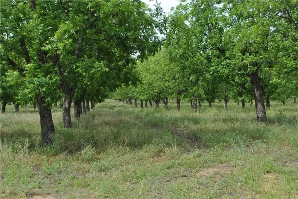 Comanche, TX 76442,TBD County Rd 446