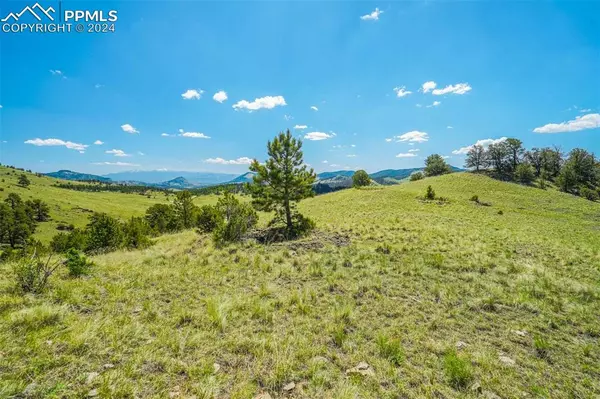 Guffey, CO 80820,County Road 102