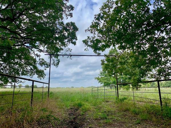 Tract 2 County Rd 1350, Clarksville, TX 75426