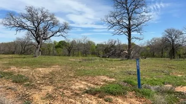 35 Hagen Lee Road, Mineral Wells, TX 76067