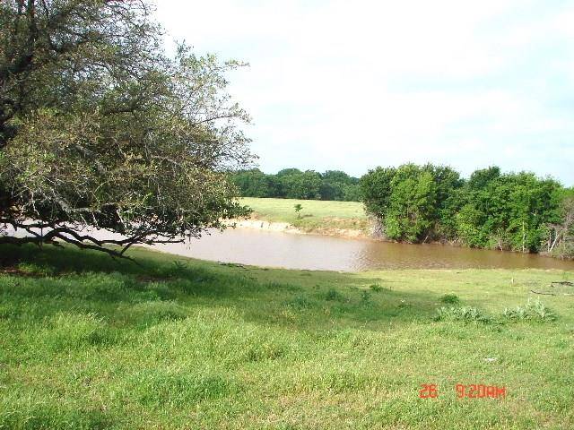 Dublin, TX 76446,TBD FM 1702