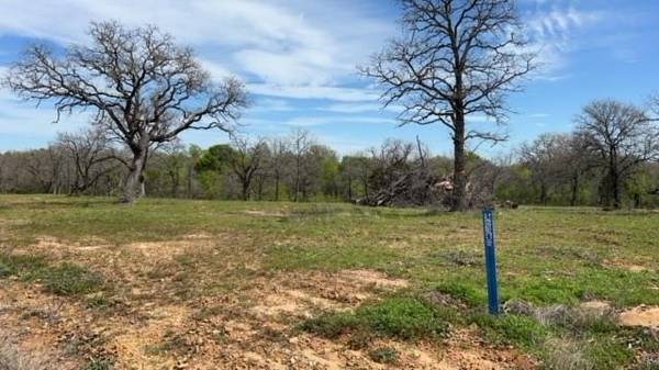 35 Hagen Lee Road, Mineral Wells, TX 76067