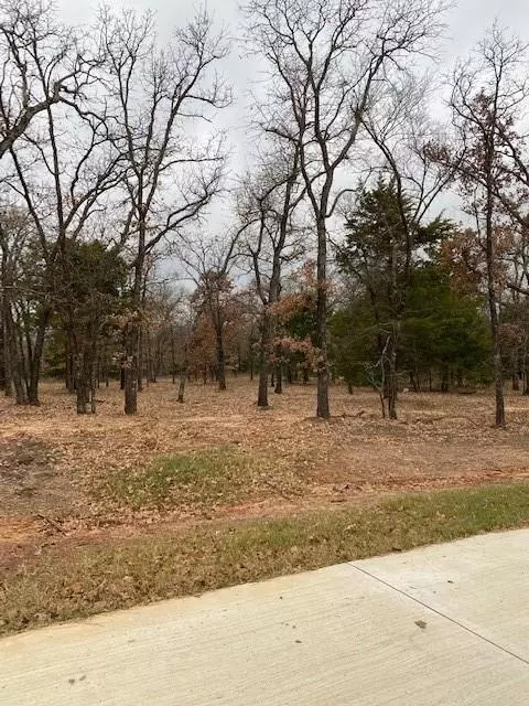 Valley View, TX 76272,Lot 10 Knotted Oaks Court