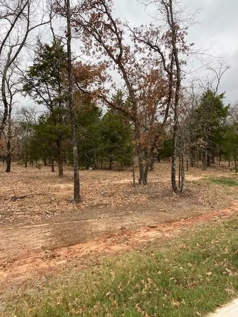 Valley View, TX 76272,Lot 10 Knotted Oaks Court