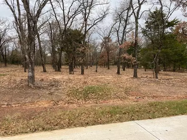 Valley View, TX 76272,Lot 10 Knotted Oaks Court