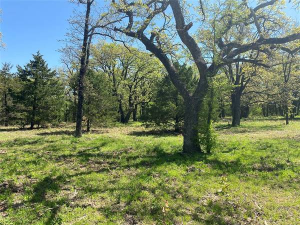 Lot 7 Knotted Oaks Court, Valley View, TX 76272