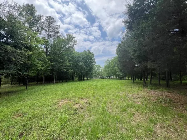 Athens, TX 75752,Lot 335 Grand View Drive