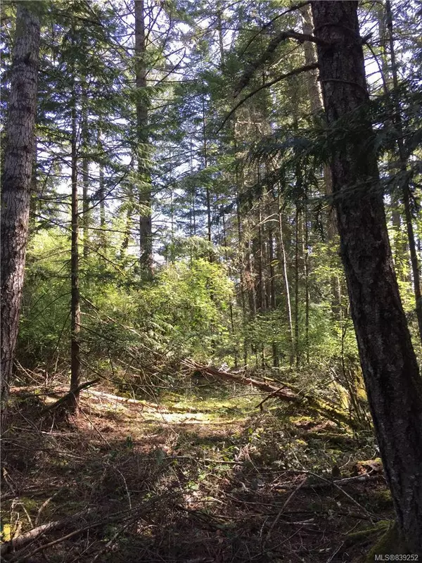 Salt Spring, BC V8K 2W1,Lot 11 Demetri Way